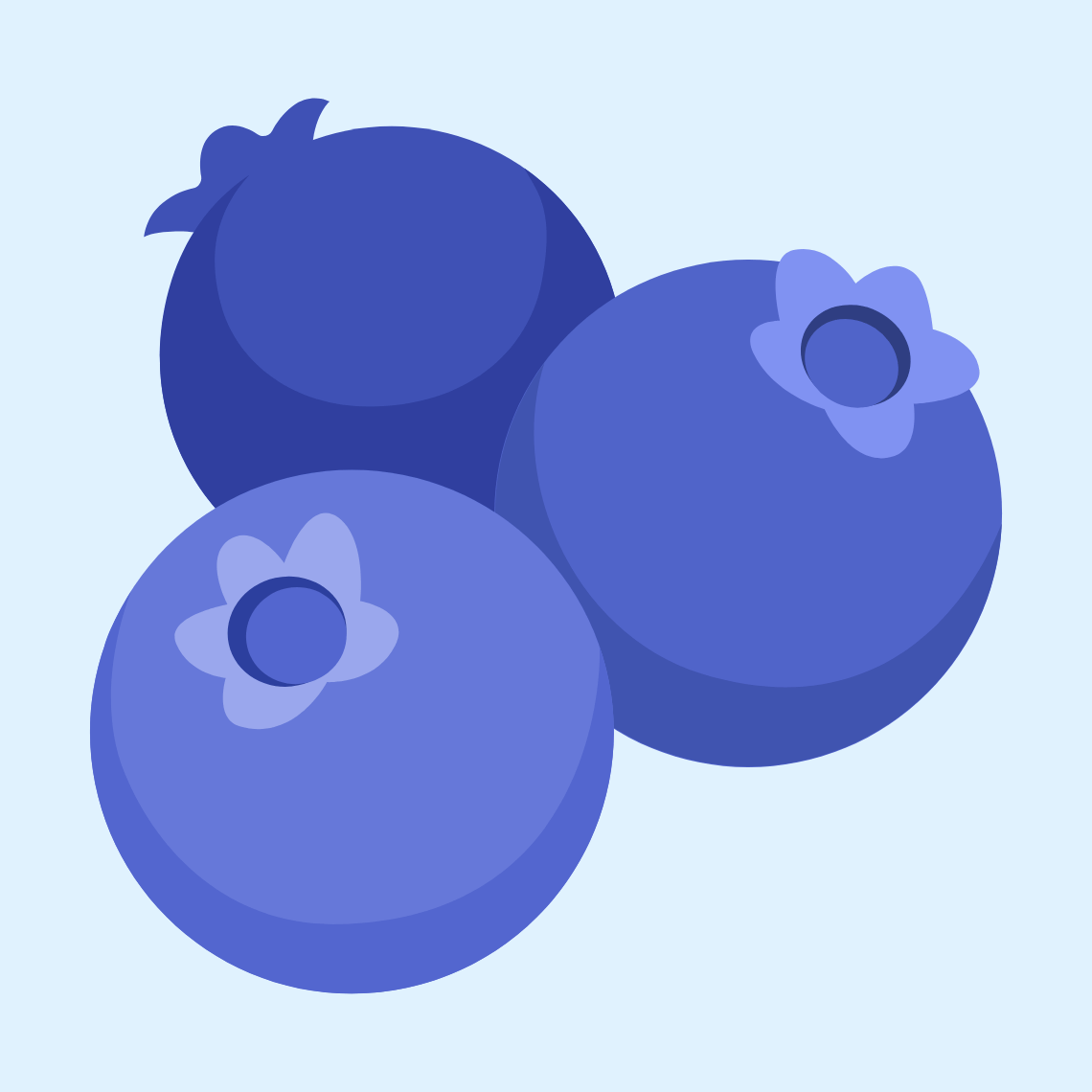 π« Blueberries