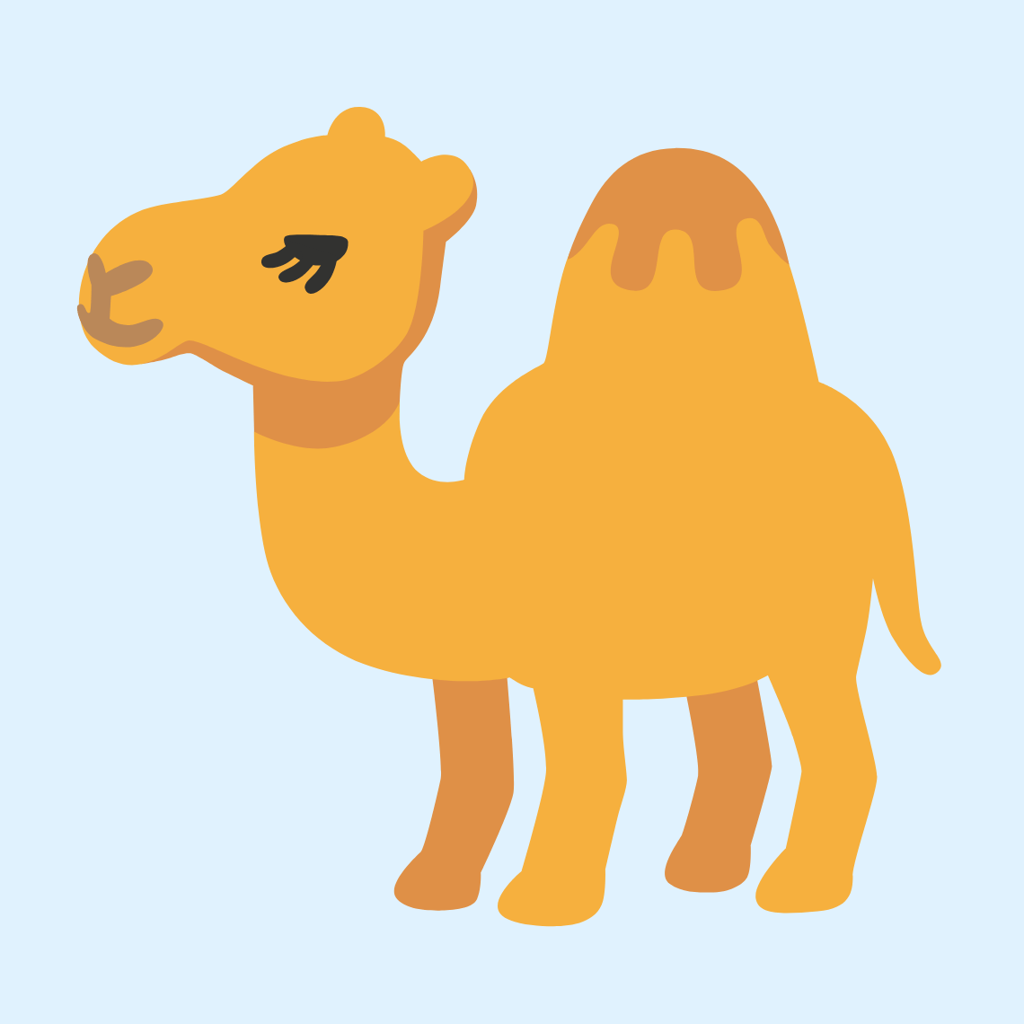 🐪 Camel