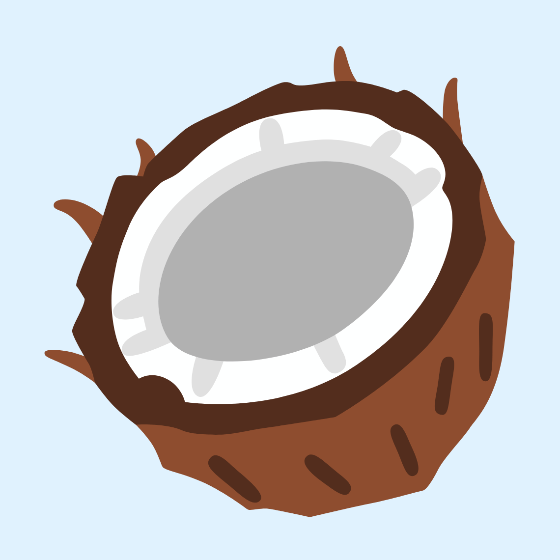 π₯₯ Coconut