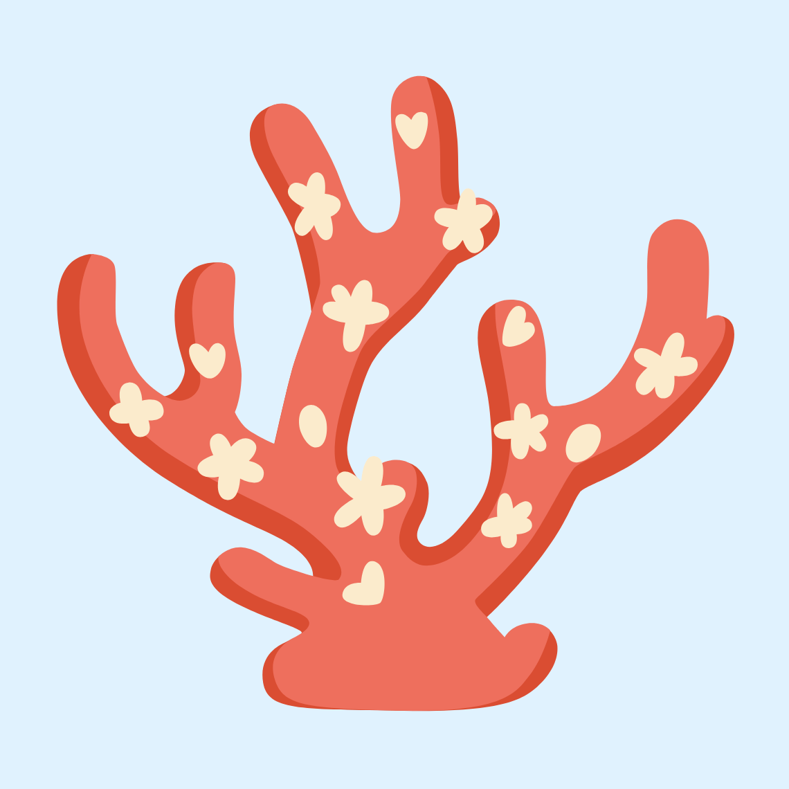 πͺΈ Coral