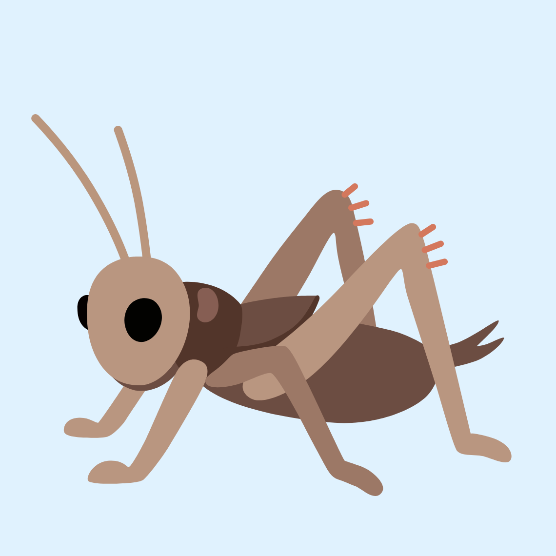 🦗 Cricket