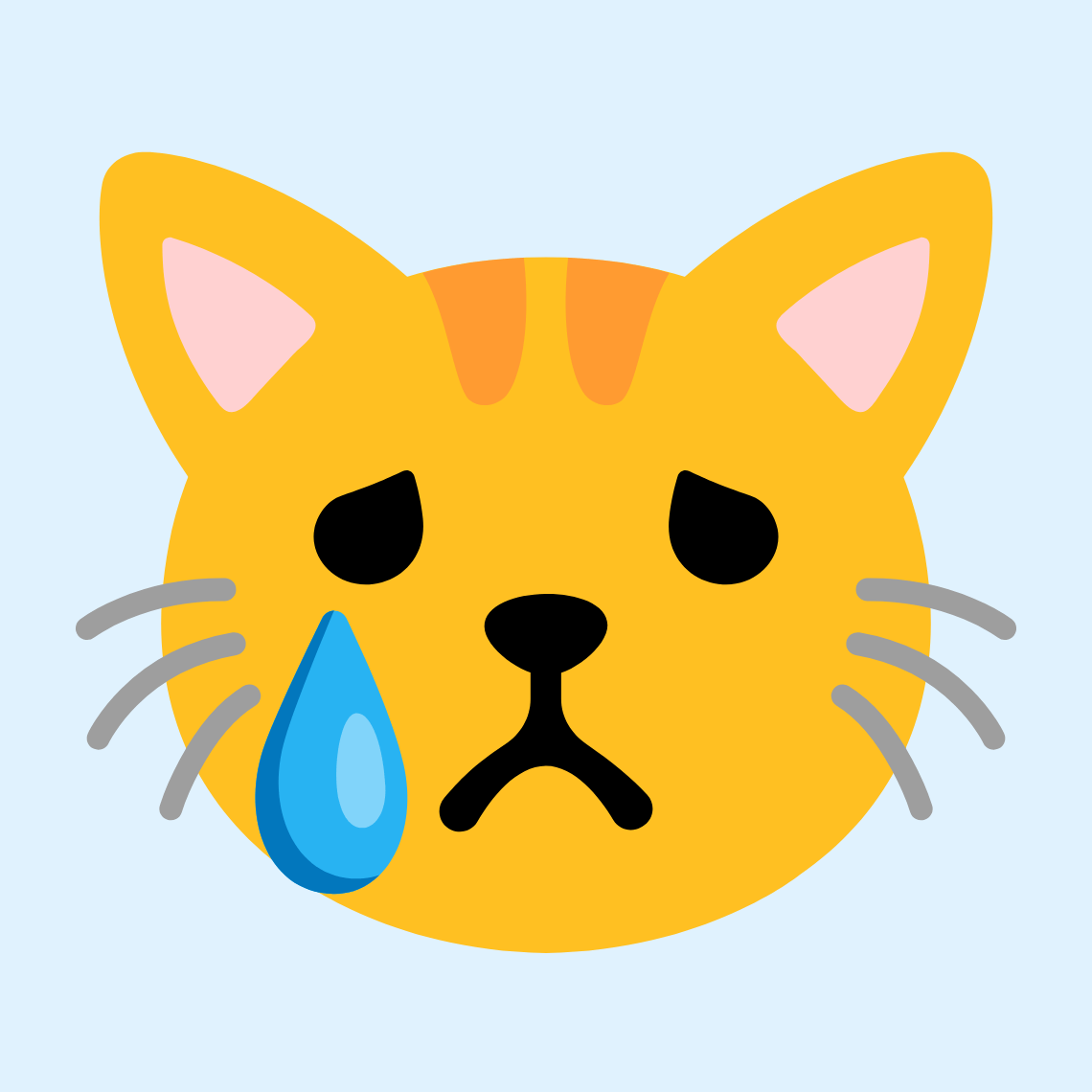 πΏ Crying cat