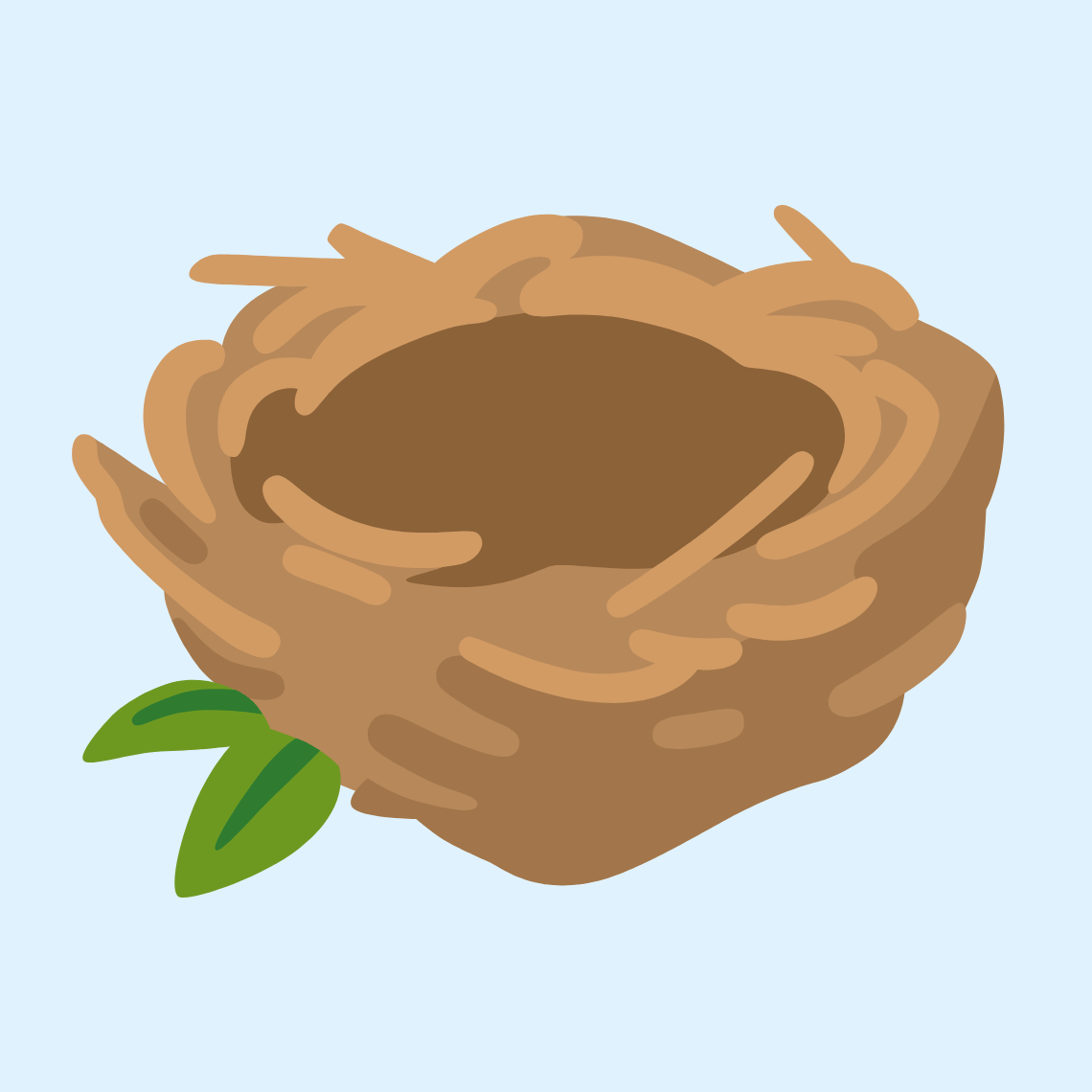 πͺΉ Empty nest
