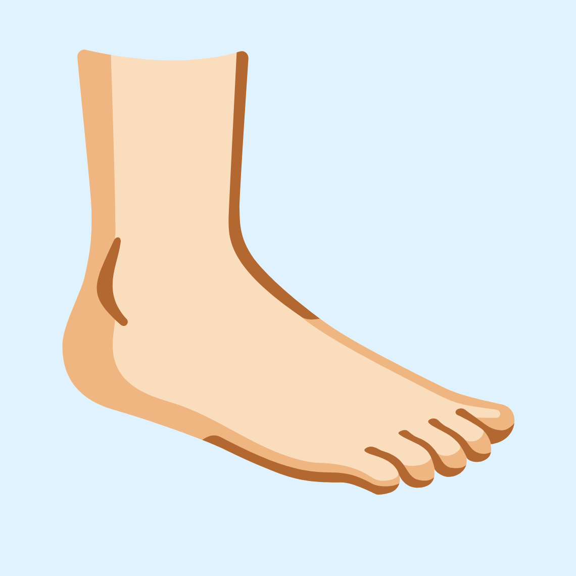 🦶🏻 Stopalo: svijetla boja kože