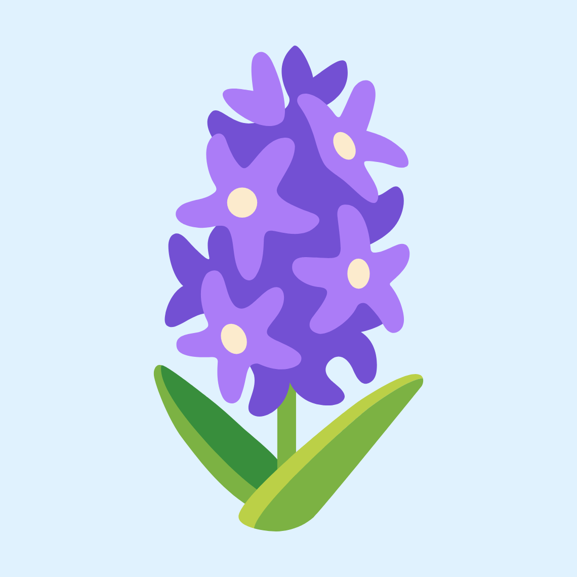 đĒģ Hyacinth