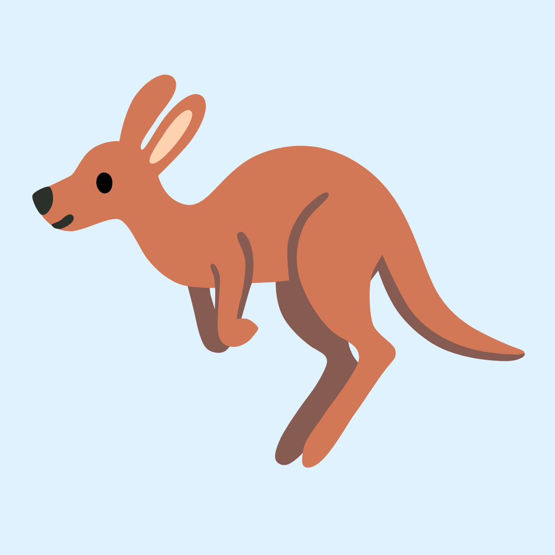 🦘 Kangaroo