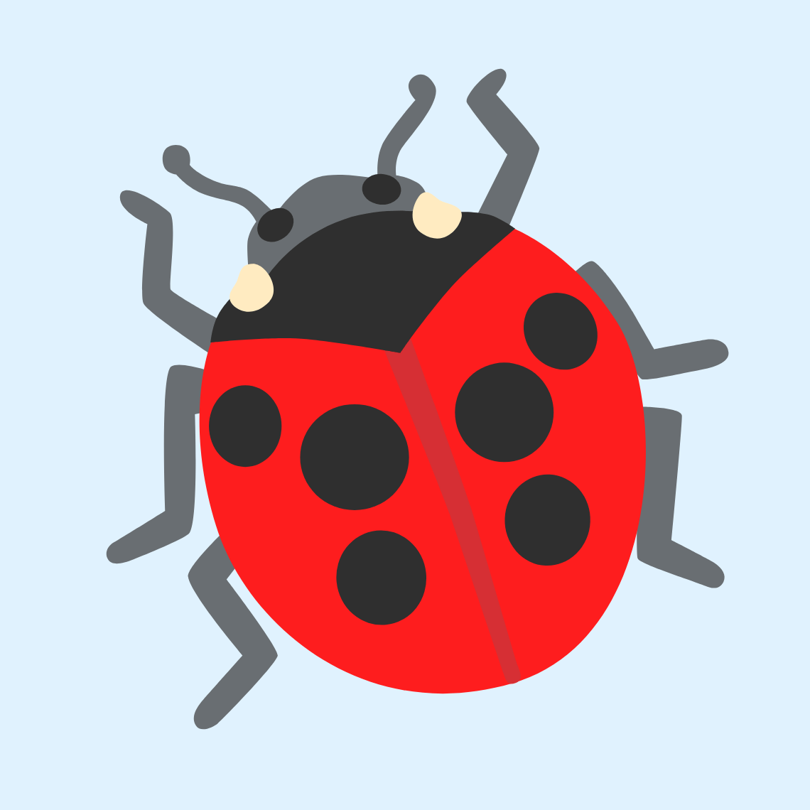 π Lady beetle