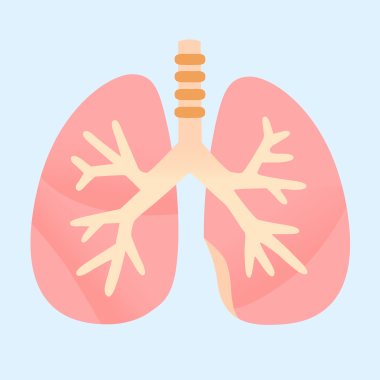 Emoji 🫁 Lungs: Meaning and Details
