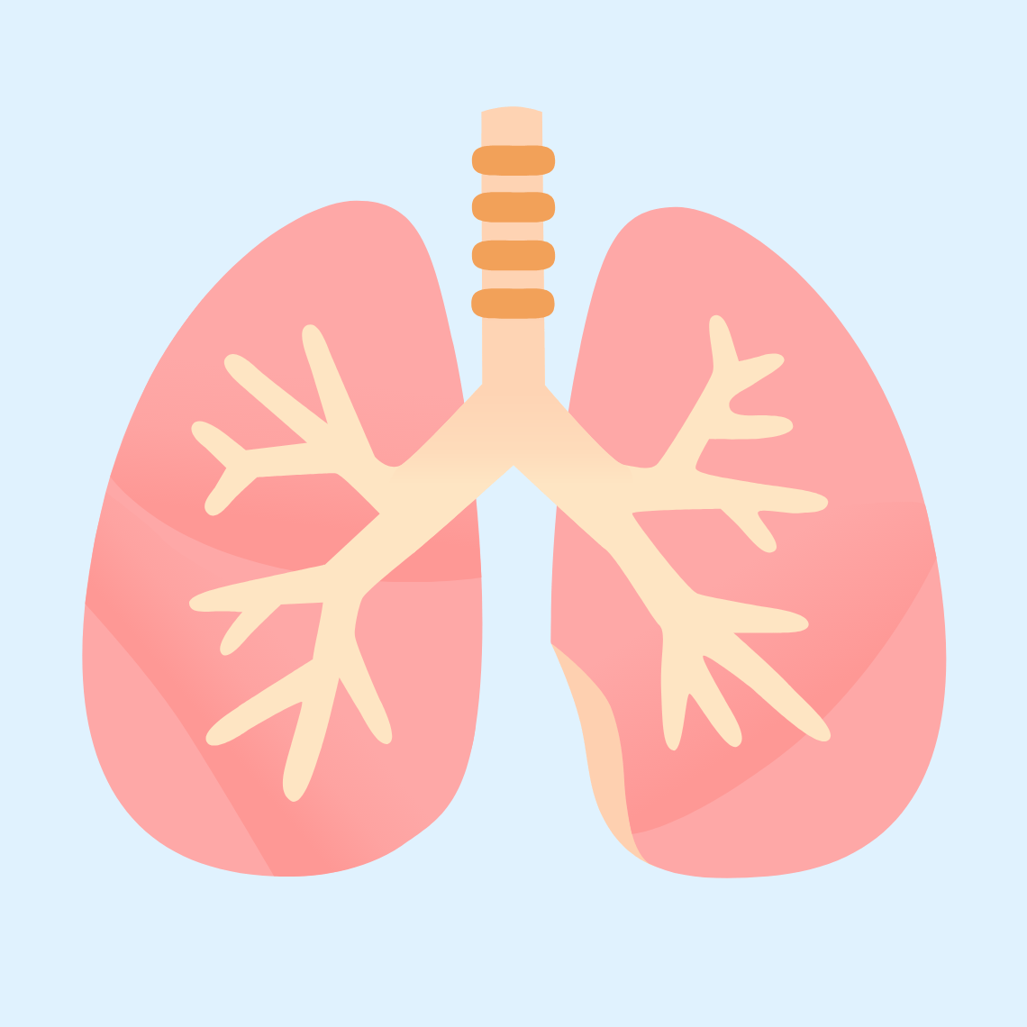 π« Lungs