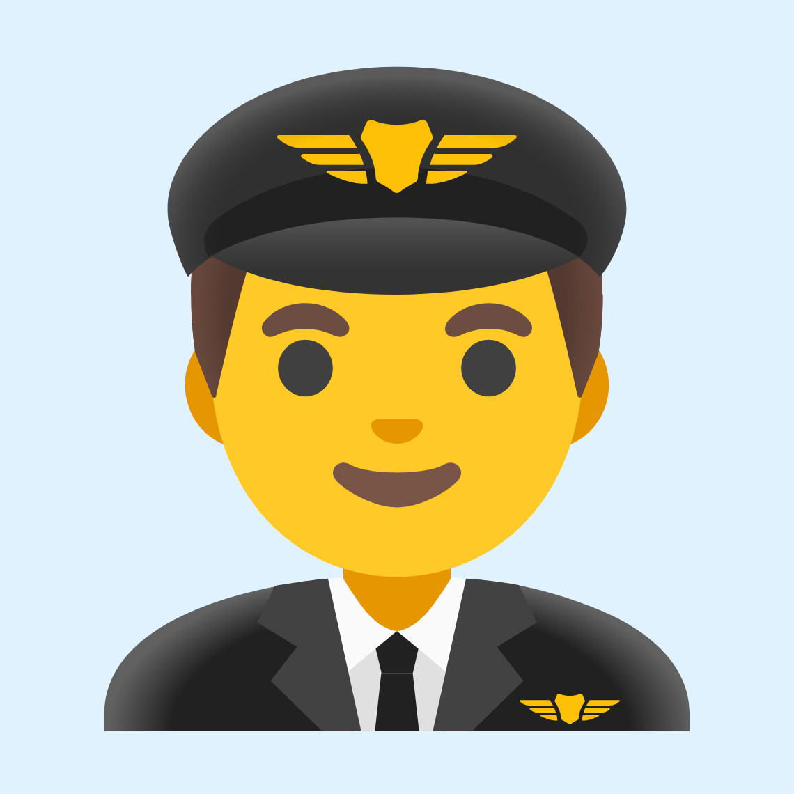 👨✈️ Man pilot