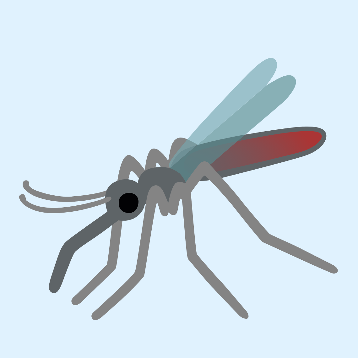 π¦ Mosquito