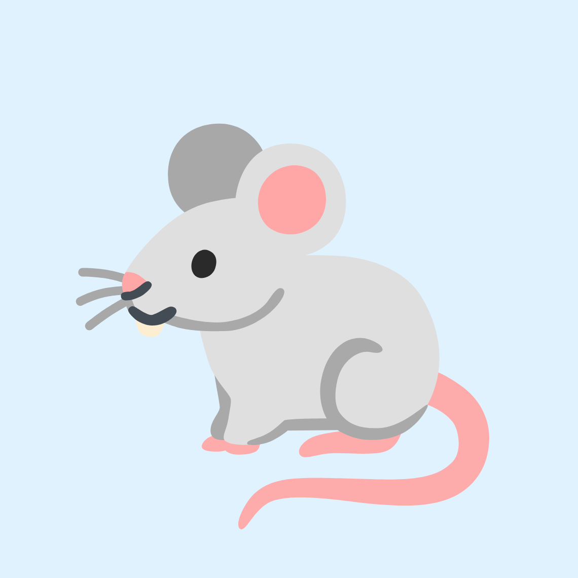 🐁 Mouse
