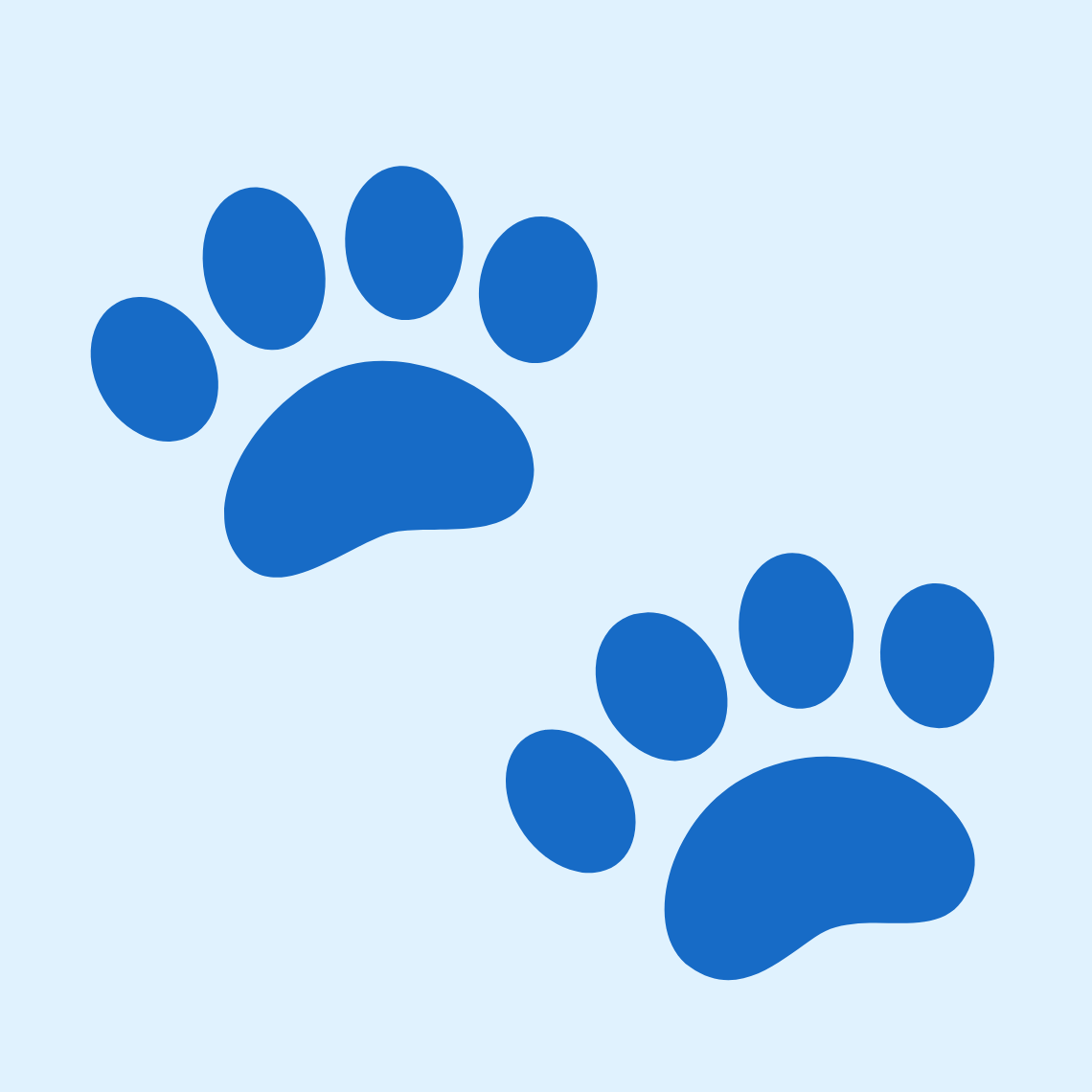 🐾 Paw prints