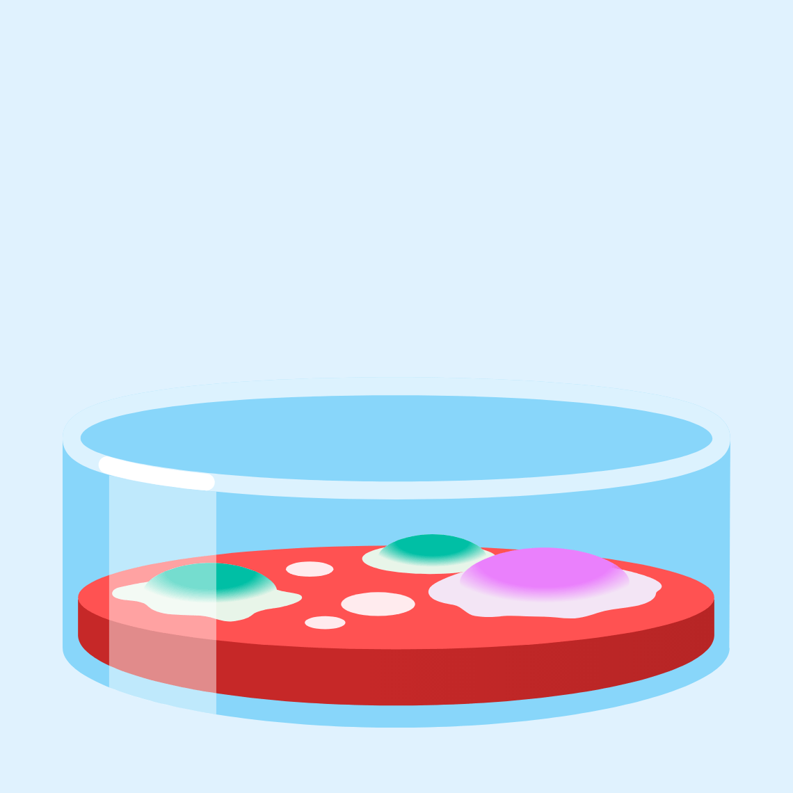 🧫 Petri dish