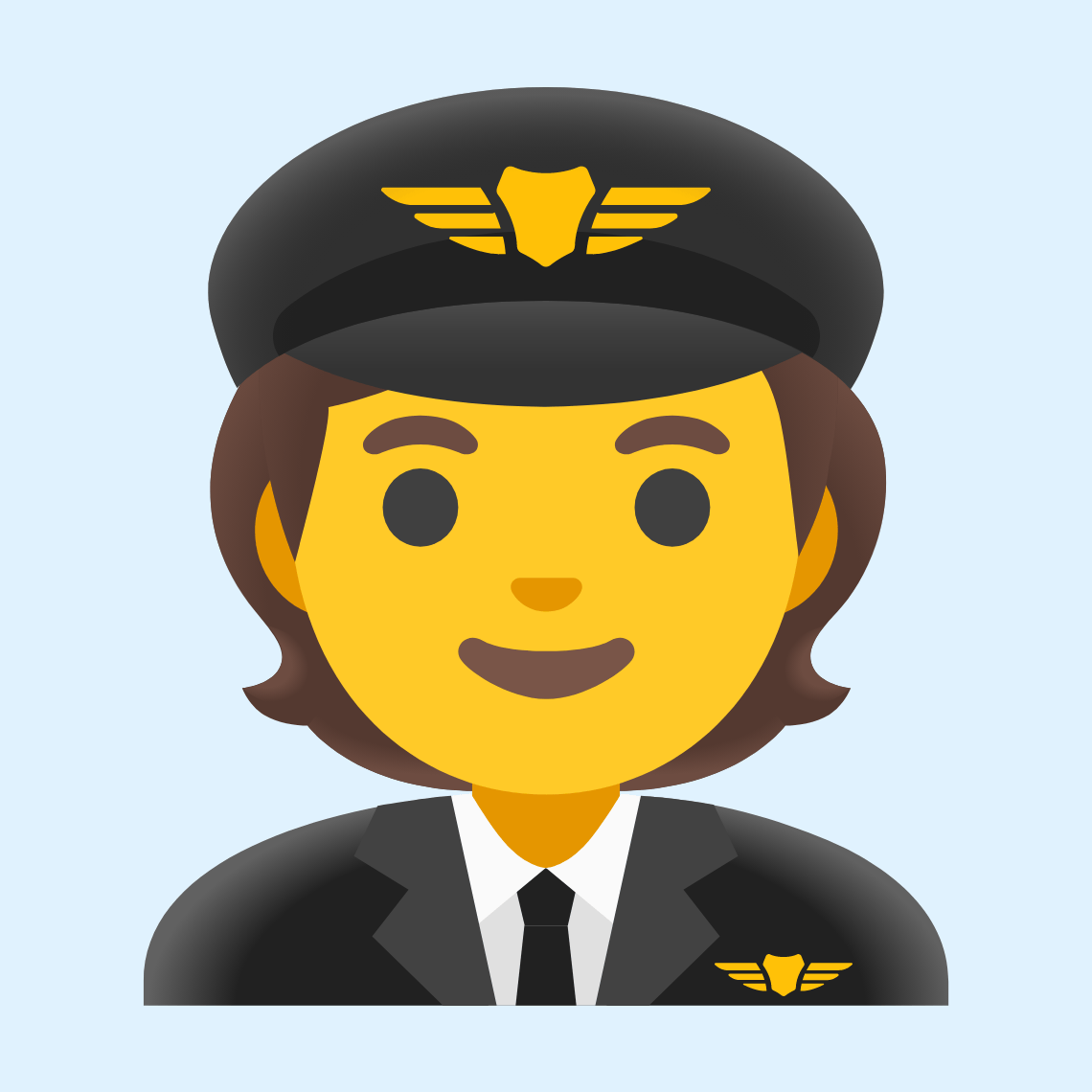 🧑‍✈️ Pilot