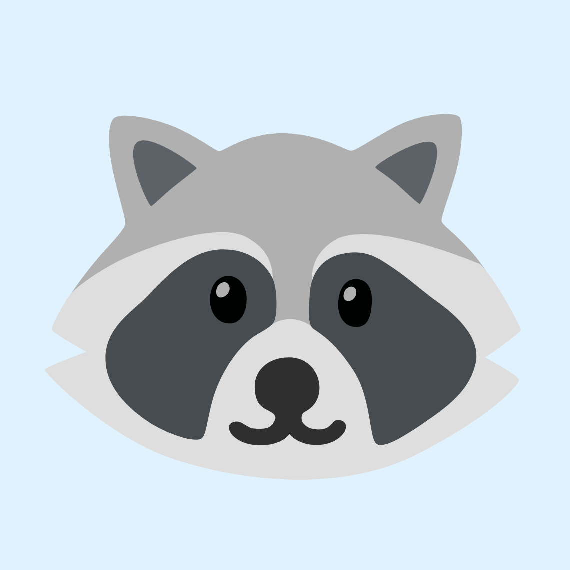 🦝 Raccoon