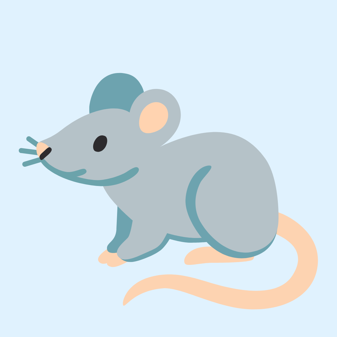 🐀 Rat