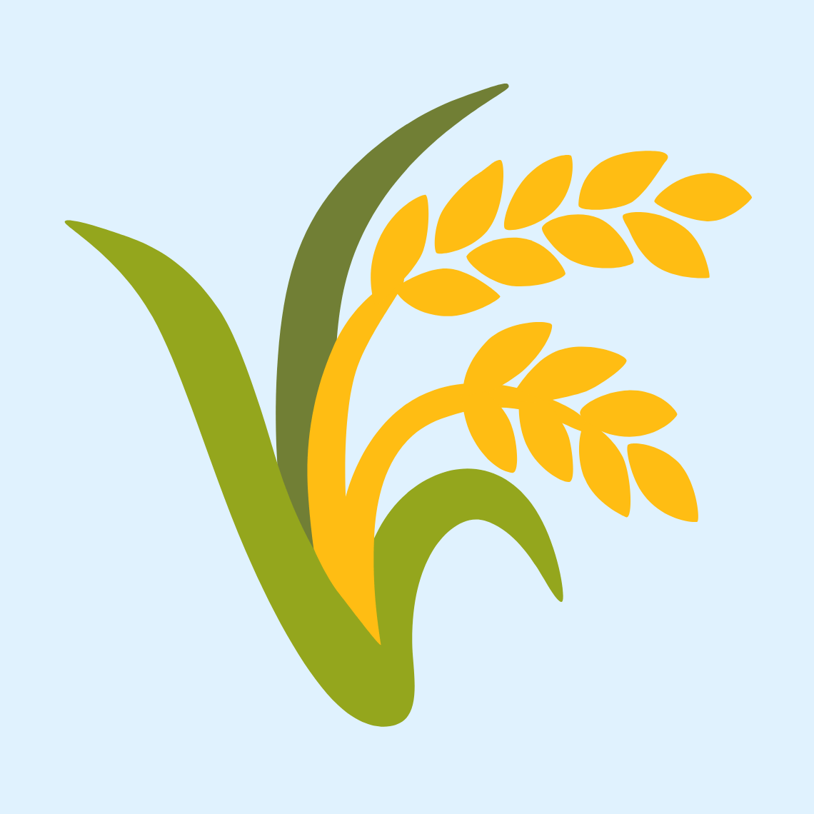 πΎ Sheaf of rice