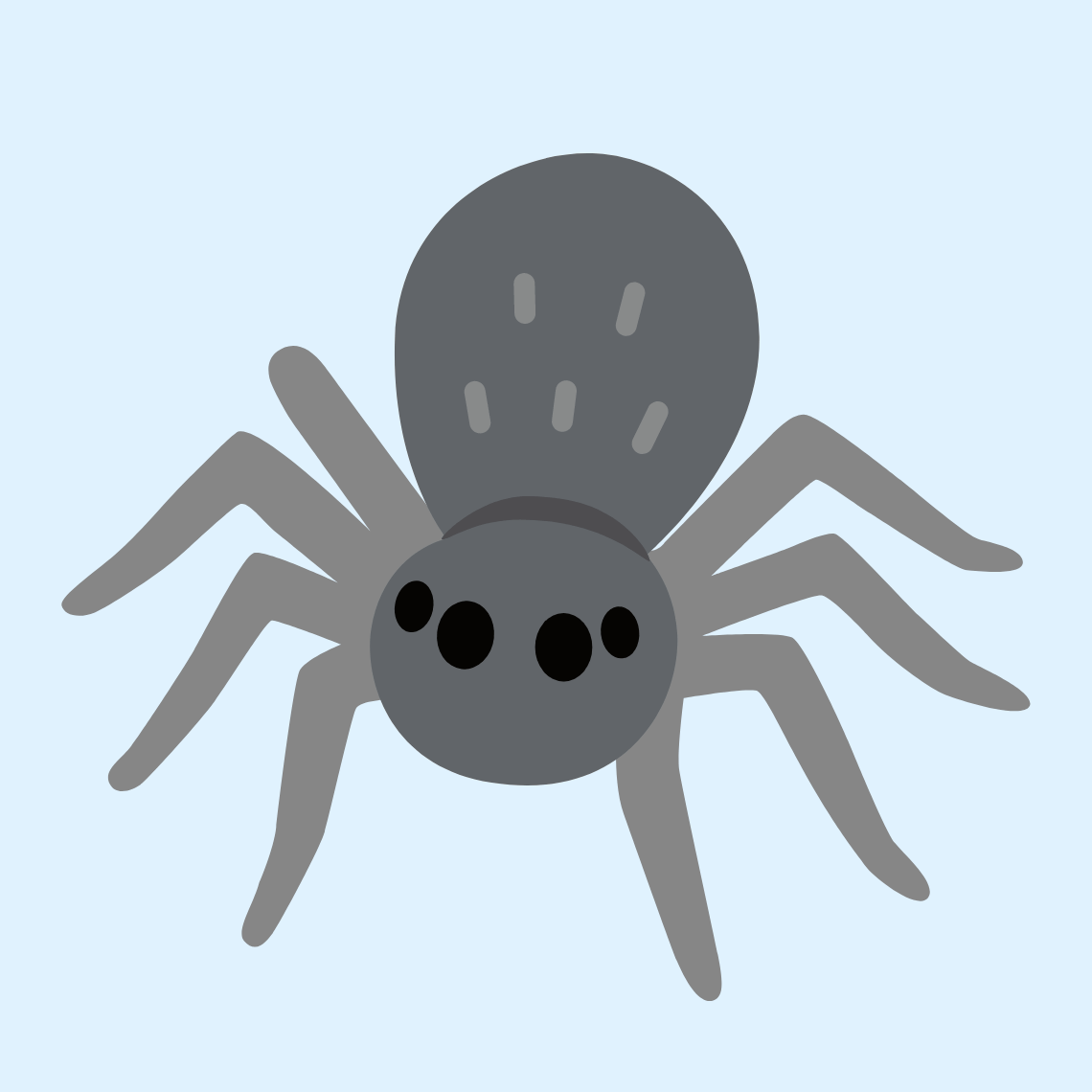 π·οΈ Spider