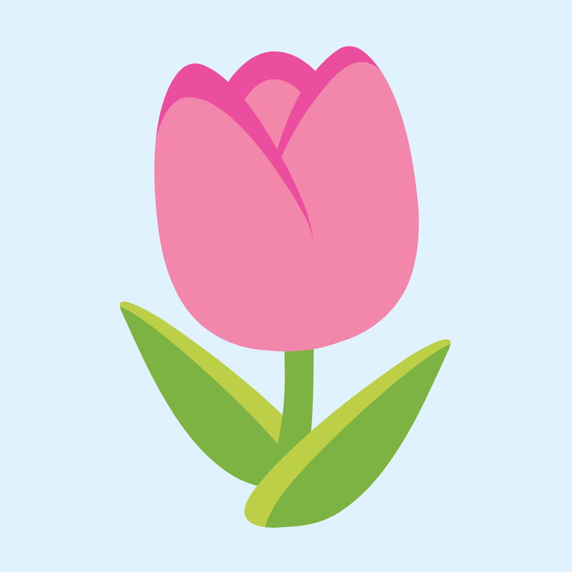 🌷 Tulip