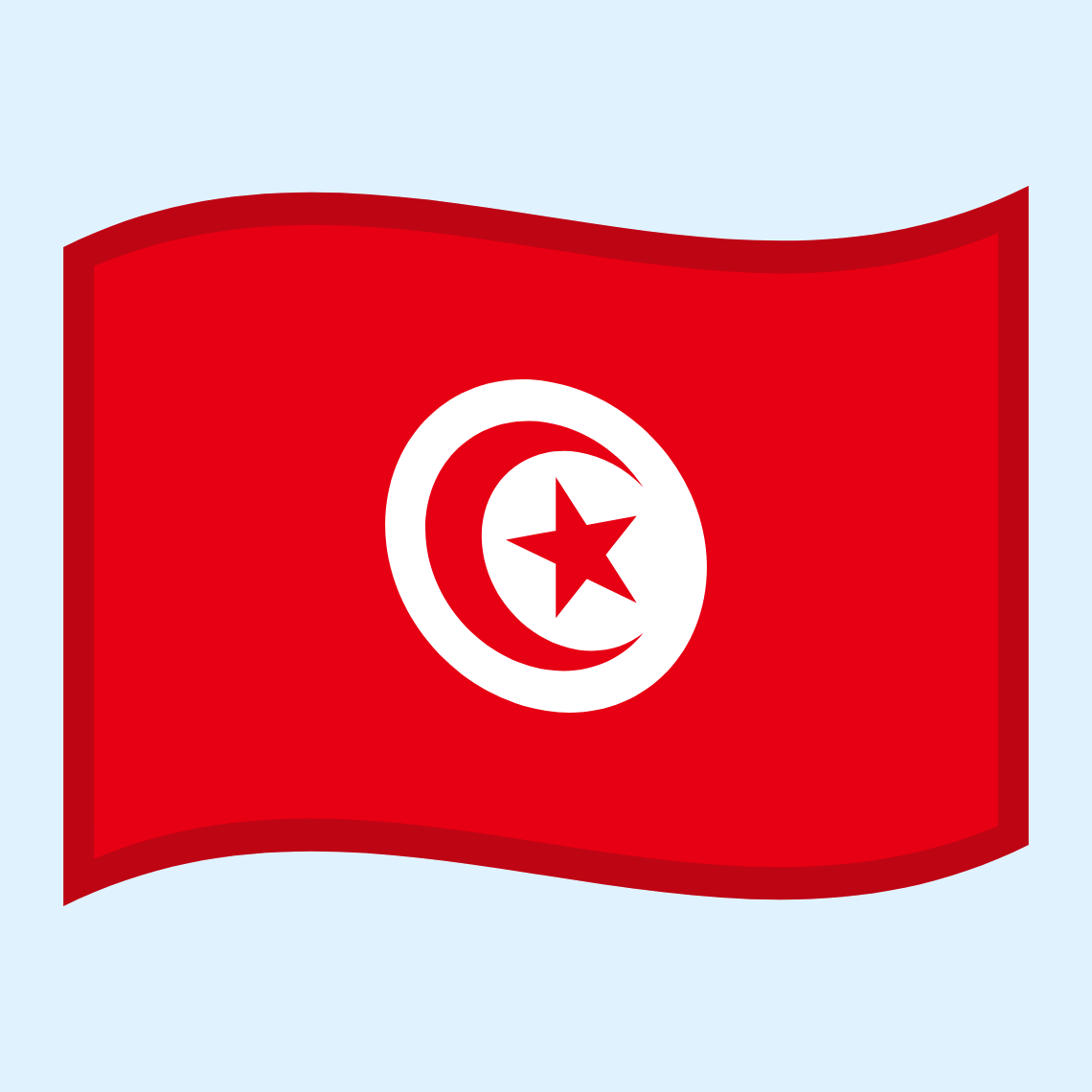 ๐น๐ณ Flag: Tunisia