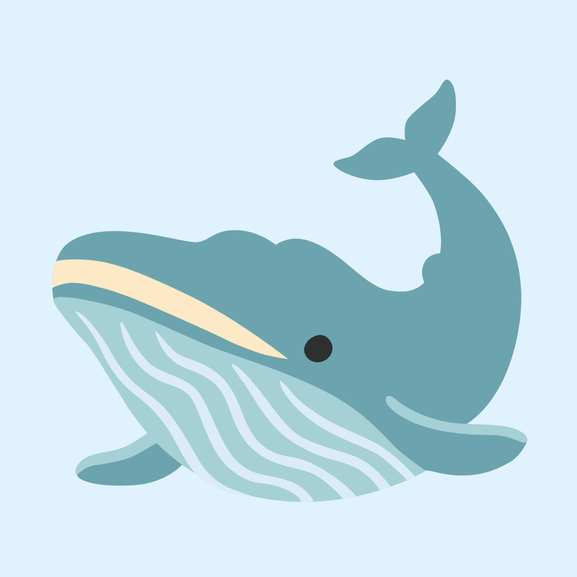 π Whale